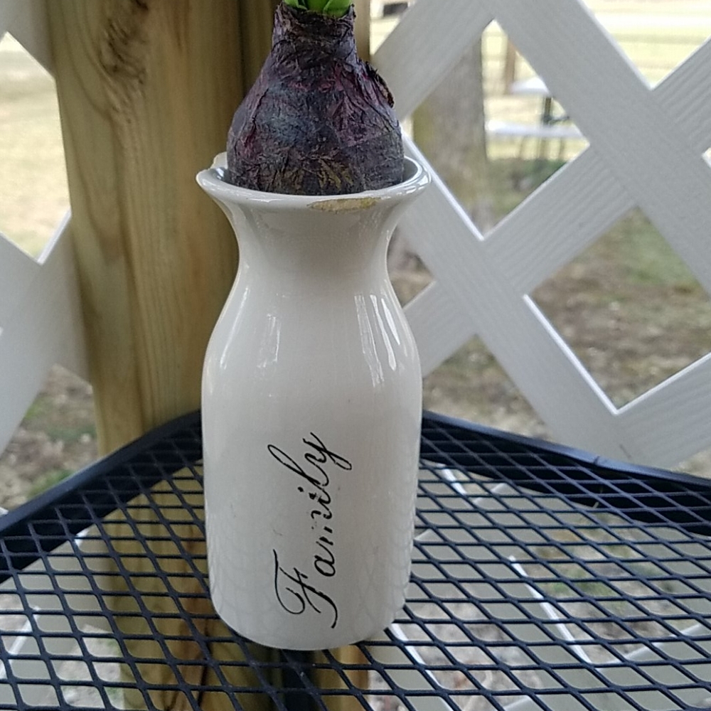 Spring Flower's & Vase - Picture 2 of 6
